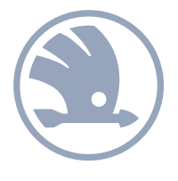 Usato Skoda Napoli e Avellino