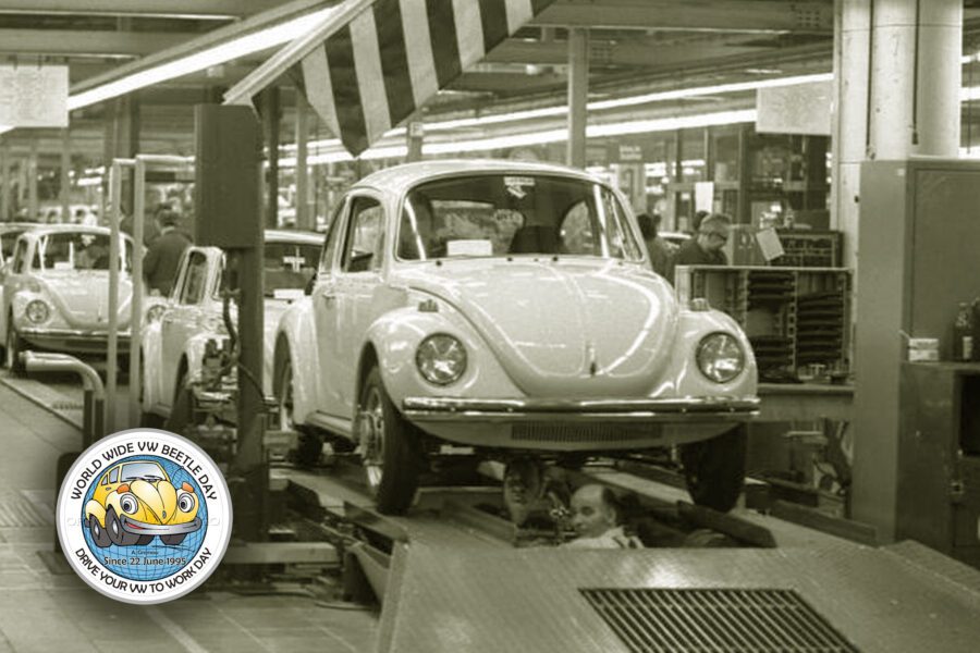 giornata mondiale maggiolino