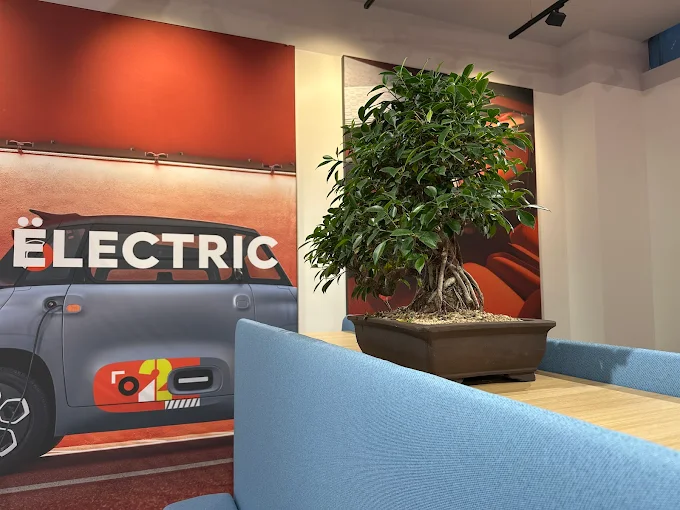 Citroën Avellino, sede di Autouno ad Atripalda