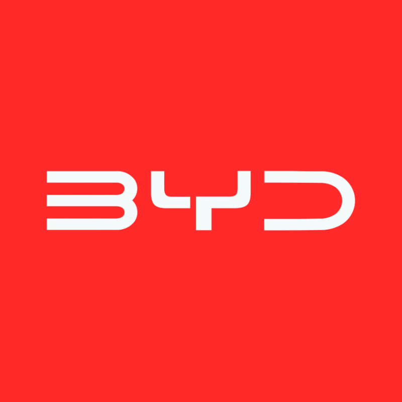 Service e assistenza BYD Napoli